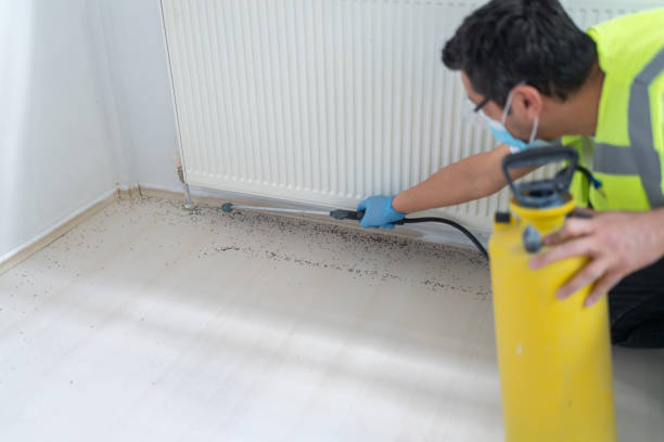 Wasp Removal Services in Dakota Dunes, SD